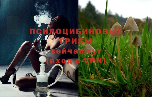 прущая мука Верея